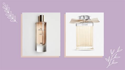 zara perfume chloe.